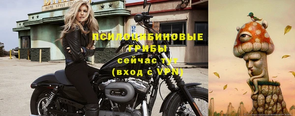 a pvp Абдулино
